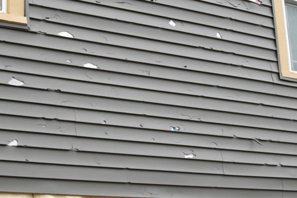 Best Demolition Debris Removal  in Hamilton, TX